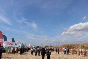 FOTO: Tradiţia ”Zilei Porumbului” iniţiată de Dafcochim şi Cereal Prod