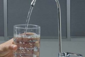 RAJA: Avarie pe str. Căprioarei din oraşul Țăndărei