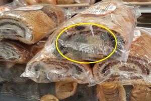 FOTO. Cozonac cu mucegai într-o cofetărie din judeţul Satu Mare