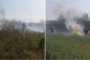 VIDEO. Incendiu în judeţ. Un bărbat a dat foc unor resturi vegetale şi a incendiat grădinile vecinilor