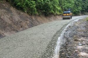 Drumuri şi căi ferate forestiere ce aparţin statului pot trece în administrarea UAT şi a Consiliilor locale (ordin ministru)