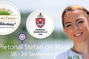 Ograda din Cămară pe pietonalul Ștefan cel Mare