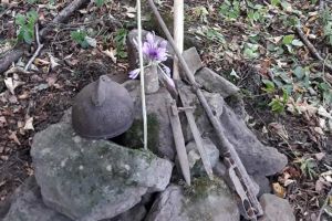 Încă o lumină aprinsă în buchetul torţelor pentru eroii români din Valea Uzului