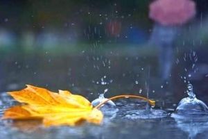 Informare meteo: Vreme închisă şi ploi în toată ţara, până vineri dimineaţa