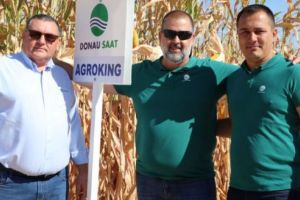 ”Ziua Porumbului” 2019. Hibrizi noi, de la Donau Saat