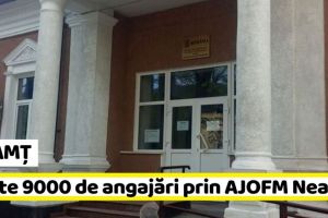 NEAMȚ: Neamţ, în topul judeţelor cu cele mai multe persoane angajate în acest an prin AJOFM