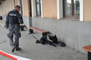 FOTO Gara din Sibiu împânzită de poliţişti şi câini – Ce s-a întâmplat