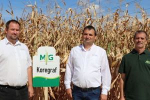 ”Ziua Porumbului” 2019. Hibrizi amelioraţi, de la Marton Genetics