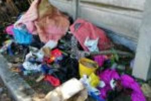 Sânnicolau Mare şi Jimbolia, sufocate de gunoaie! Operatorul de salubritate nu a mai ridicat deşeurile populaţiei