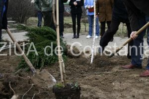 Solul Ocolului Silvic Dunarea de Jos, prelucrat de Body Invest SRL (document)  