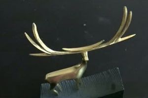 Abateri financiare majore descoperite de Curtea de Conturi în privinţa banilor cheltuiţi de TVR la Cerbul de Aur