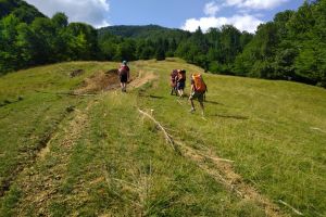 Un turist maghiar de peste 70 de ani s-a ratacit in Muntii Rodnei