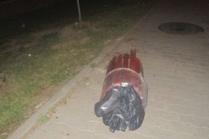 Adolescenţi prinşi în timp ce distrugeau coşuri de gunoi, în Parcul Regina Maria din Făgăraş