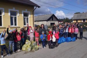Elevii din Stroieşti şi din Zahareşti au ecologizat spaţiile verzi din comună