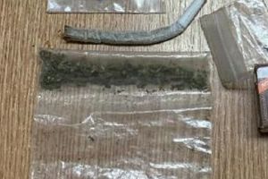 Parcul Botanic rămâne locul preferat al tinerilor care vor să se drogheze