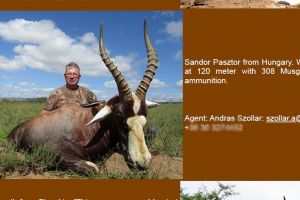 Cum se recomandă şeful CJ Bihor: „Pásztor Sándor from Hungary” şi „de ce nu are timp de Aeroport”: se răsfaţă în Africa la vânătoare de antilope