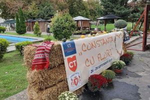 Targul Constanta cu flori