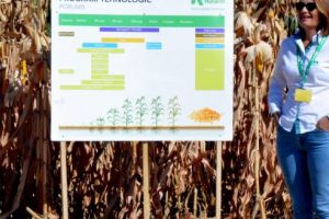 ”Ziua Porumbului” 2019. Nufarm România, tehnologie completă pentru cultura de porumb