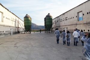 Bloggeri în vizită la fermele Avis