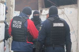 Cannabis şi sute de comprimate MDMA, descoperite de poliţiştii de la BCCO Braşov şi jandarmii Grupării Mobile Braşov, în Covasna