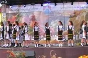 Vine „Toamna Luduşeană”!