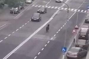 VIDEO Cal, printre maşini, la Făgăraş