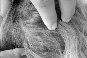 Procentul copiilor cu păduchi, în şcolile din Suceava, mai mic faţă de cel din ţările ...