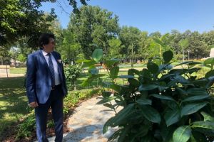 Horticultura primeşte în dar parcurile şi spaţiile verzi din zona centrală. Pentru restul, licitaţie