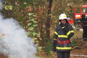 Exerciţiu al ISU Teleorman, la Roşiori, pentru gestionarea unor situaţii de urgenţă în pădurea Vedea