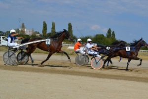 Premiul Crescătorilor, cursa cu cele mai mari premii