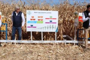 ”Ziua Porumbului” 2019. Potenţial genetic pentru hibrizii Bayer