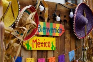 Azi începe Dracula Horse Festival! Care este programul şi ce activităţi îi aşteaptă pe participanţi în cele trei zile de festival