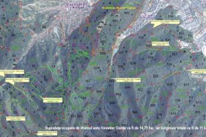 VIDEO Drum forestier nou, de 11 kilometri, între Schei şi Răcădău