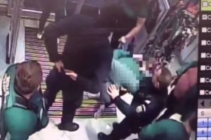 HOȚ prins de către un arădean curajos