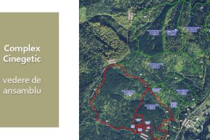 VIDEO Soluţie pentru prevenirea apariţiei urşilor în oraşe: complex cinegetic unic în Europa, la Braşov!