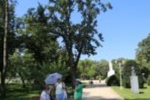 Aleea Personalităţilor din Parcul Central e completă. Un nou spaţiu verde va apărea pe Calea Lipovei