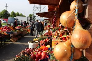 Ce găsiţi la Festivalul Toamna Bistriţeană din Heidenfeld, Viişoara (FOTO)