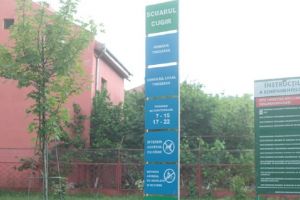 Cai la păscut într-un parc din Timişoara