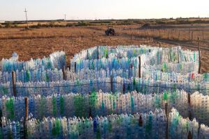 FOTOGALERIE. Proiect inedit: ,,Labirintul reciclării”. Elevii sătmăreni au colectat peste 80.000 de PET-uri