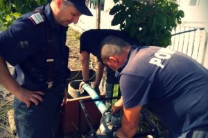 Pompierii constanteni au actionat in Sinoe, in urma inundatiilor (galerie foto)