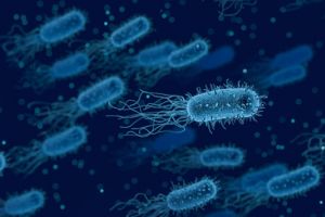 Bacteriile se ”dezbracă” pentru a evada de antibiotice. Ce pericole implică acest lucru