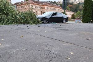 Mort de beat, a rupt un copac în zona giratoriului de la Rectorat