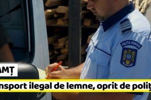 NEAMȚ: Transporturi ilegale de lemne, oprite de poliţişti