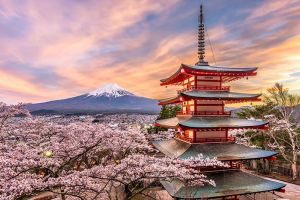 Eşti funcţionar public? ANFP te trimite să studiezi gratuit în Japonia