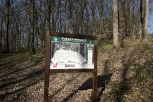 Bărbat dispărut de joi în Pădurea Schullerwald, căutat de poliţişti, jandarmi şi pompieri voluntari