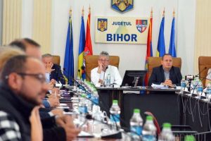 Politruci „zburaţi”: Cum a provocat dezastrul de la Aeroportul Oradea ruperea coaliţiei din Consiliul Judeţean