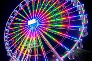 Roată panoramică şi funicular spre Cetate, propuse pentru proiectul de amenajare a Parcului ...