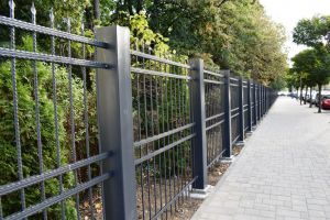 FOTO. Grădina Romei, în proces de înfrumuseţare. Ce lucrări se execută