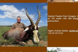 Pásztor din Ungaria