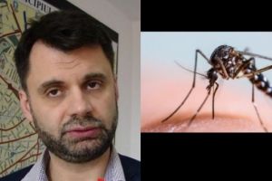 Multumim, Dobre, pentru dezinsectie! Primul caz de West Nile, confirmat în Ploiesti